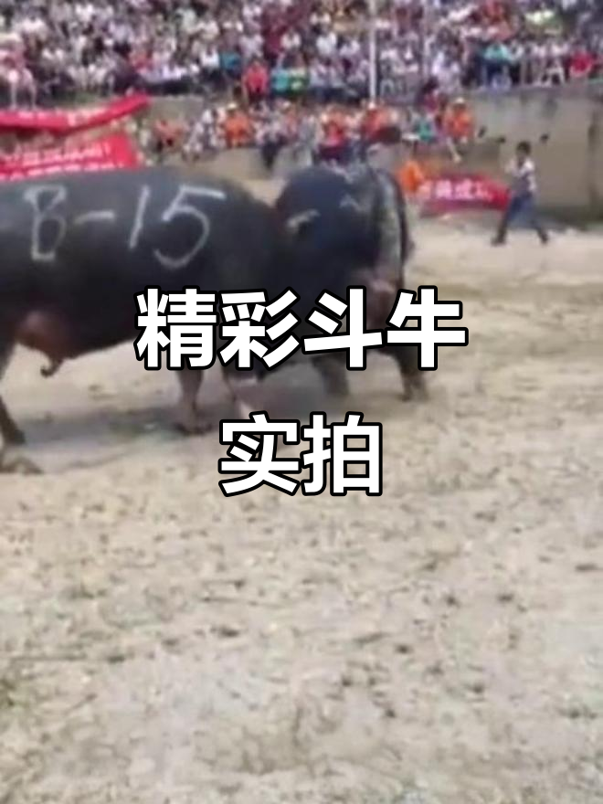 内马尔迎来十赛季出色发挥，德国队观众热烈欢呼！